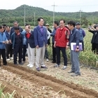 신안군, 마늘 재배 기계화로 노동력 절감에 나선다..'농업의 기계화로 농촌일손 부...