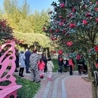‘섬 겨울꽃 축제’, 신안의 매력을 다시 한번 확인..'분재정원의 섬 압해읍 주민...
