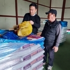 신안군, 배 재배 농가 과수화상병 사전방제 약제 지원..'개화 전․후, 3회 약제...