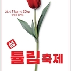 신안군, ‘2025 섬 튤립축제’개최.. 홍매화의 열기에 이어 튤립으로 물드는 섬...