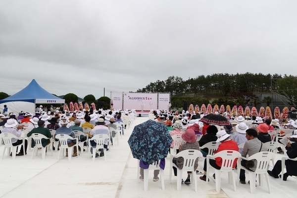 	제1회 섬 샤스타데이지 꽃 축제! 성황리 마무리..'지역민과 관광객이 함께한, 장산도에 핀 하얀 감동'1