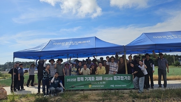참깨도 이제 콤바인으로! 신안군 기계화 성공!..'16일 비금도에서 결과평가회 개최, 노동력 97% 절감효과'1