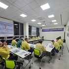 신안군 자은도, 소나무재선충병 발생