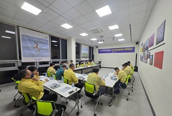 신안군 자은도, 소나무재선충병 발생1