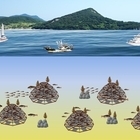 신안군, 암태 추포 해역 볼락류 산란·서식장 조성 40억 확보..'다이아몬드 해역...