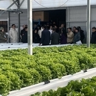 신안군 청년 농부 ‘이지팜’ 이지훈 대표, 스마트팜 성공 비결 공개..'최첨단 분...