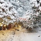 신안군, 목포시민 1004섬 분재정원 관람료 50% 할인 본격 시행..'관람료 부...