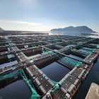 신안군, 설맞이 전복 직거래 행사로 어가 지원 및 지역 경제 활성화..'신안-목포...