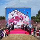 신안군, ‘2026 섬 홍매화 축제’ 성황리에 폐막