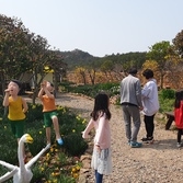 수선화할머니 토피어리