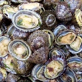 배말