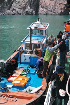 횟배 2