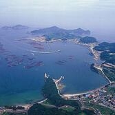흑산예리항3