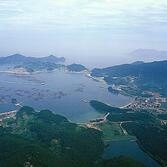 흑산예리항4