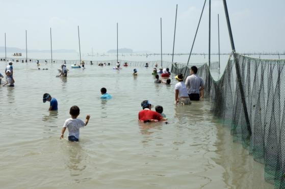 제1회 섬.갯벌 올림픽 축제  1