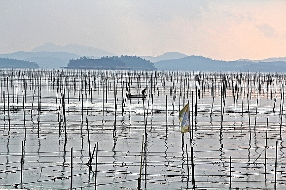 2012년 12월 압해읍 분재공원 - 분재공원앞의 바닷가 5