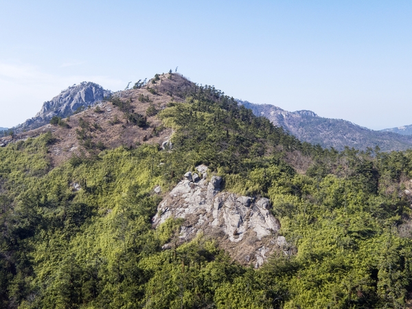 비금 죽치마을선왕산등산로 3