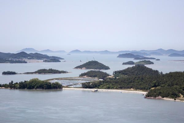 팔금 선학산등산로에서 본 팔금 001 4