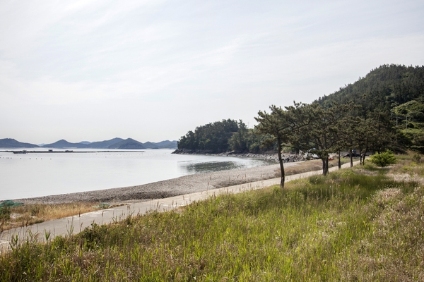 하의면 대야도전경 5