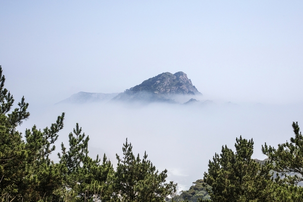 흑산 만재도 마구산등산로에서 본 만재도 6