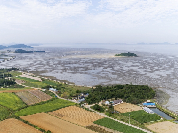 장산면 한새골장산갯벌 5