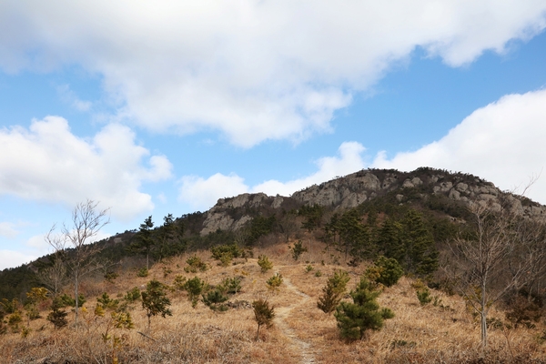 자은 두봉산등산로 1