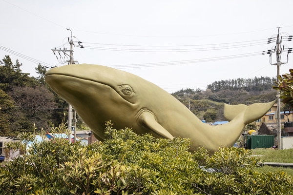 흑산 고래공원 4