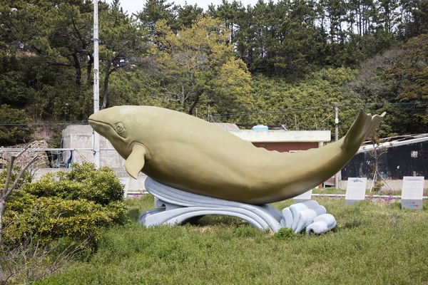 흑산 고래공원 5