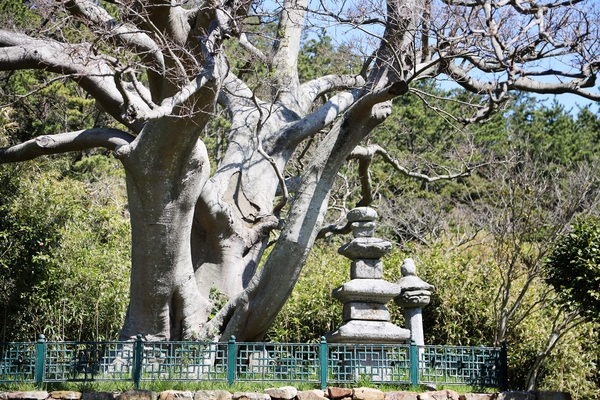 흑산도 무심사지삼층석탑 석등 3