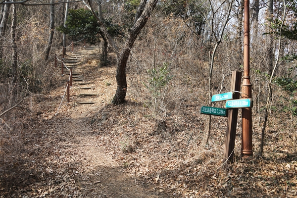 지도읍  삼암산등산로 3