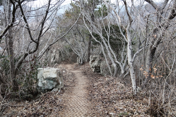 지도읍  삼암산등산로 5