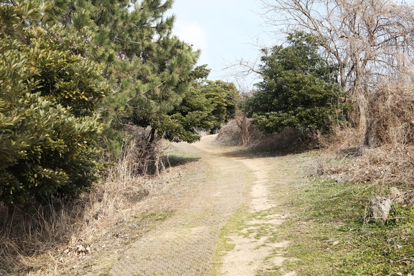 지도읍  삼암산등산로 1