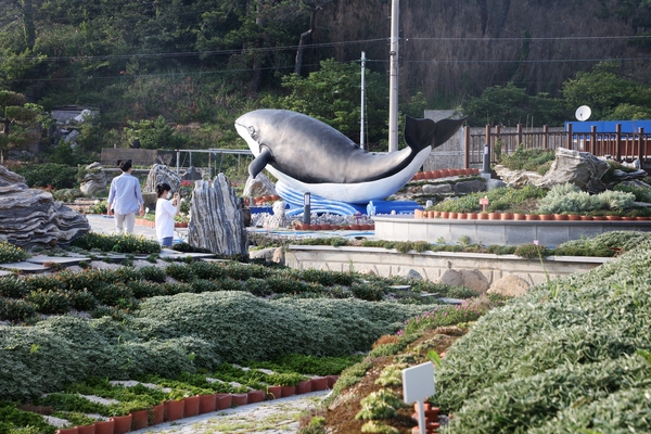 흑산면 고래공원 4