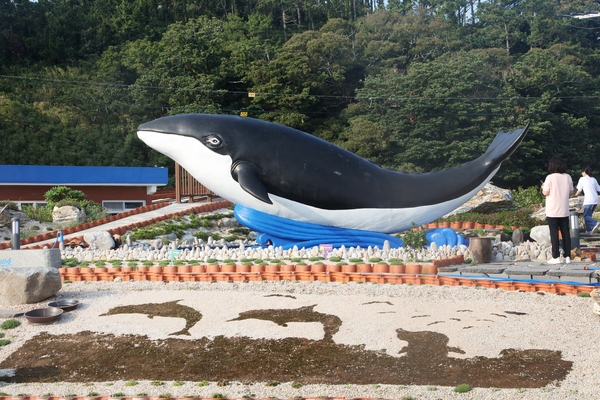 흑산면 고래공원 6