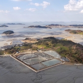 지도읍 어의도