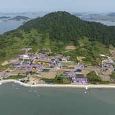 안좌면 퍼플섬 