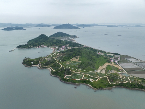 하의면 옥도 작약 004 2