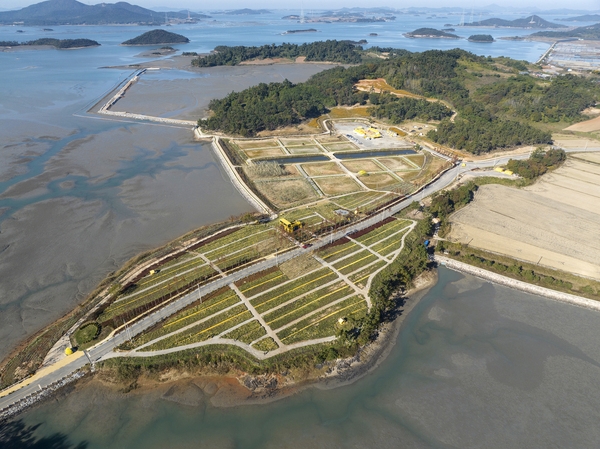 압해읍 고이도 아자니아 003 2