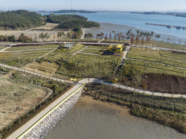 압해읍 고이도 아자니아 003 4