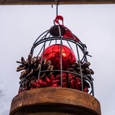 신안 압해도 천사섬분재공원