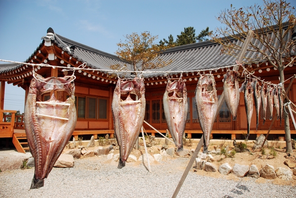 슬로시티 증도 명품 해풍 건정,우리마을 향토자원 경연대회 대상 수상 2