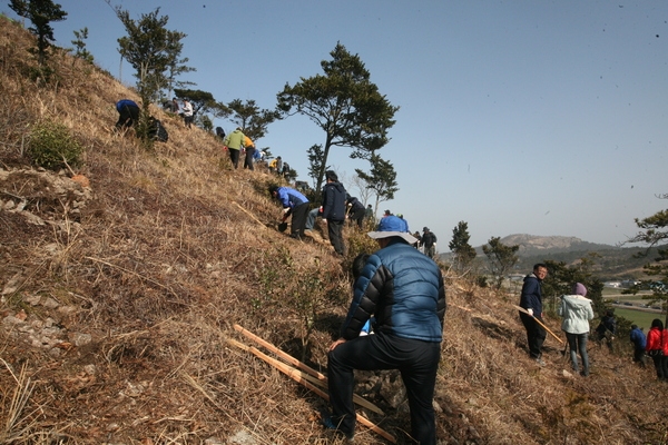 신안군, 제69회 식목일 기념 나무심기 행사..