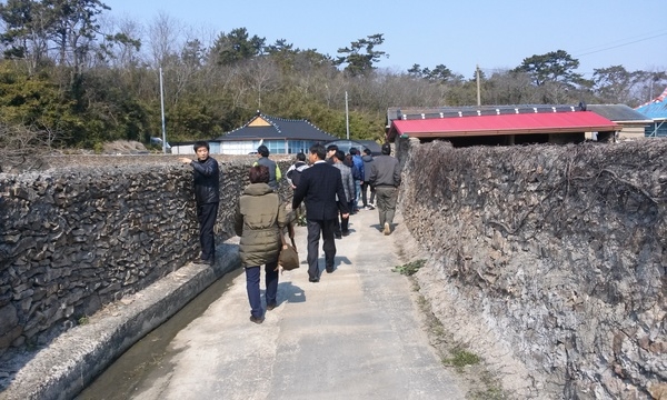 신안군 비금면 도고마을 농촌 체험 걷는 길 조성  2