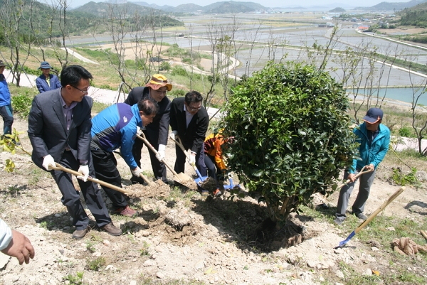 신안,「숲속의 전남」섬지역 나무심기 행사 열려 4