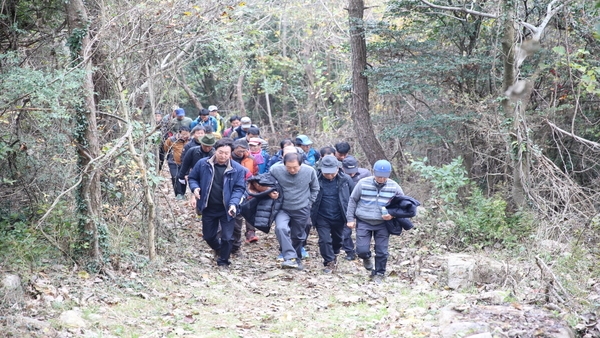 안좌「가고 싶은 섬」걷기 행사 성료..