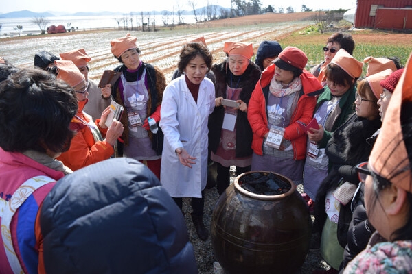 신안군, 잊혀져가는 옛 전통 장맛 살린다..'장류 제조 비법전수로 지역 특산물 접목 장류 상품화 기대' 1