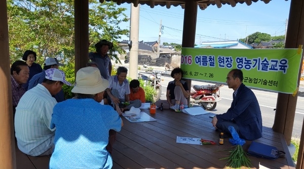 신안군, 폭염을 이겨낸 여름철 영농기술교육 성료..