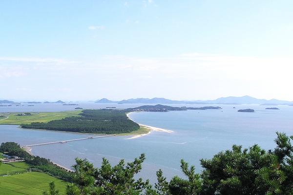 신안군, 증도 한반도 해송 숲 관광자원화 사업 탄력...'2017 정부예산안에 97억 반영' 1