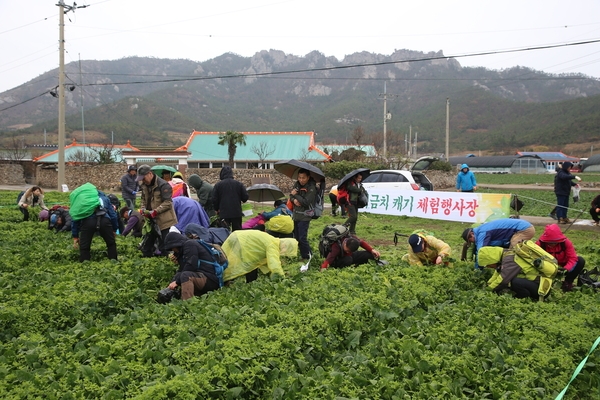 신안군, 선왕산 전국 섬 등산대회 완료..