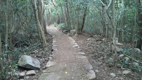 섬마을 ‘숲속의 힐링’ 산책로 개설 2